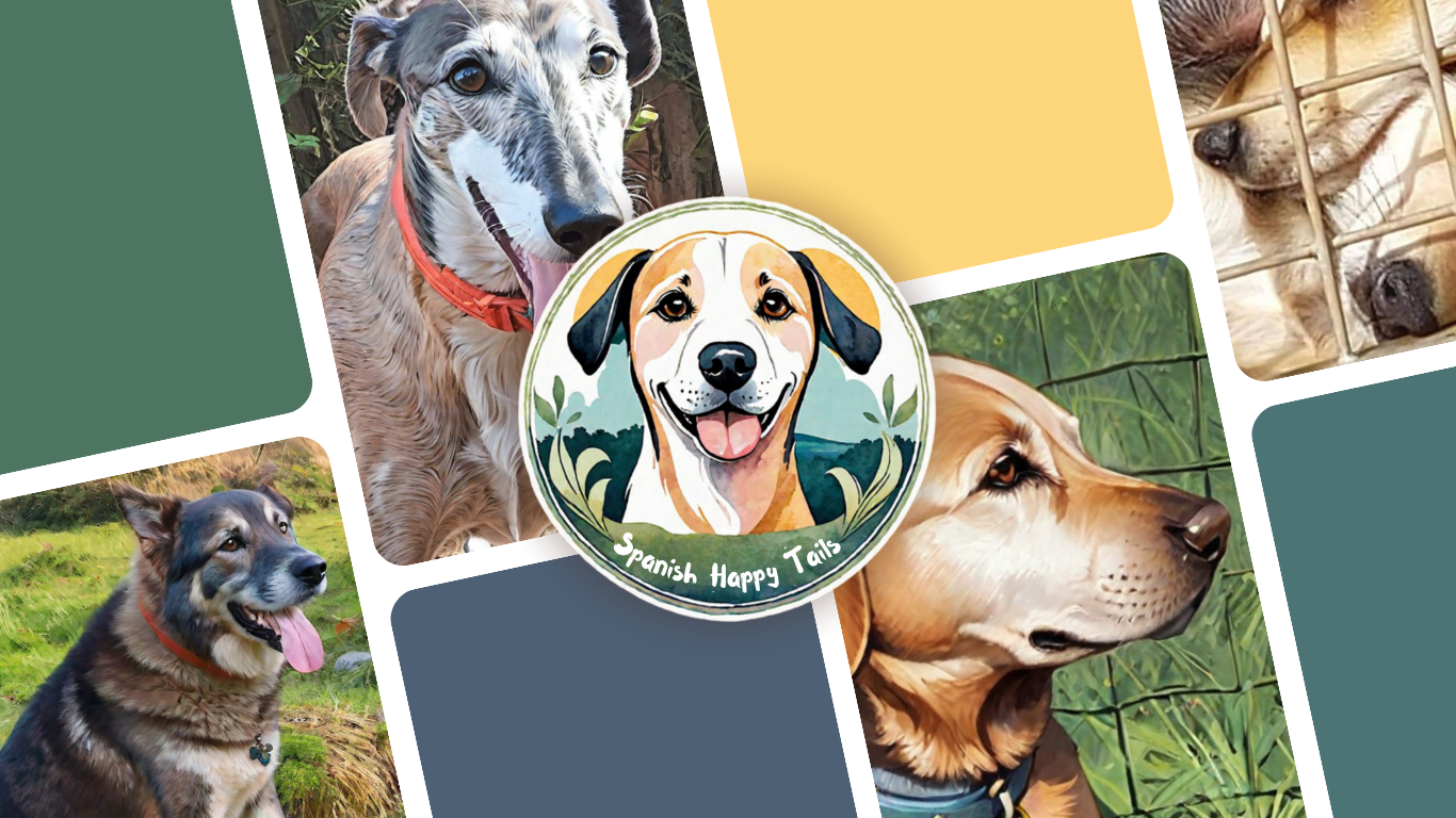 Happy tails online pet transport